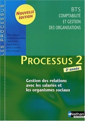 Processus 2 - Sylvie Chamillard