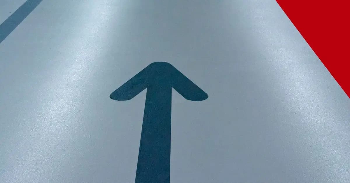 Comment Choisir un Accompagnateur pour Votre Projet Créatif ?