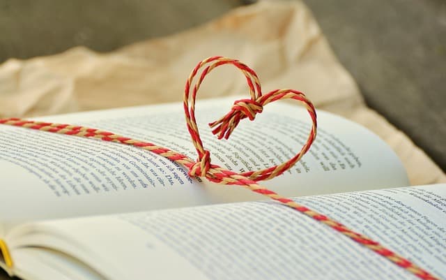 Les Clés d'une Relation de Mentorat Réussie pour Créateurs